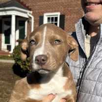 Thumbnail photo of JOY #2