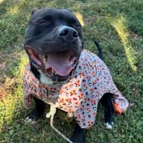 Thumbnail photo of Big Fella Cash #2