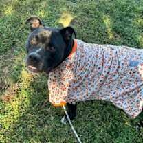 Thumbnail photo of Big Fella Cash #4