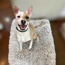 Thumbnail photo of Camp #1