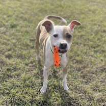 Thumbnail photo of Camp #3