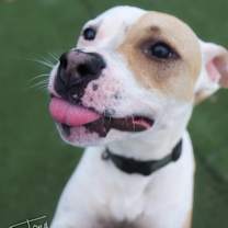 Thumbnail photo of Camp #4