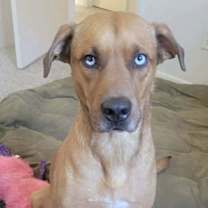 Thumbnail photo of Chip #1