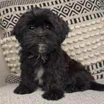 Thumbnail photo of Elizabeth #1