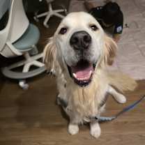 Thumbnail photo of TEDDY #2