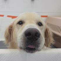 Thumbnail photo of TEDDY #4