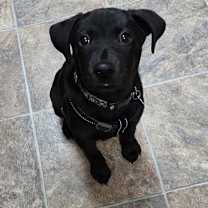 Thumbnail photo of Daxx #3