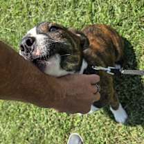 Thumbnail photo of Tank #2