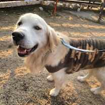 Thumbnail photo of TEDDY #1