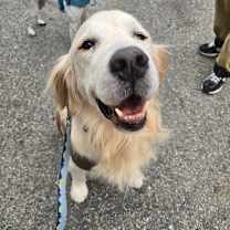 Thumbnail photo of TEDDY #2