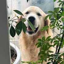 Thumbnail photo of TEDDY #3