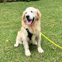 Thumbnail photo of TEDDY #4