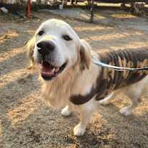 Thumbnail photo of TEDDY #1