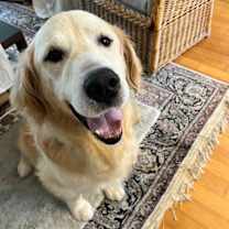 Thumbnail photo of TEDDY #3