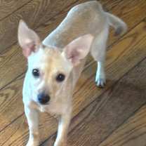 Thumbnail photo of Harmony #4