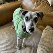 Thumbnail photo of Campbell #1