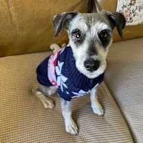 Thumbnail photo of Campbell #2