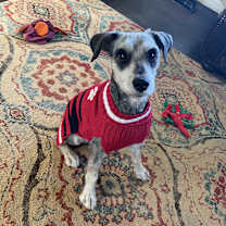 Thumbnail photo of Campbell #3