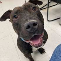 Thumbnail photo of Pho #1