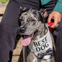 Thumbnail photo of Oryx #3