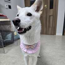 Thumbnail photo of GAEUL #2