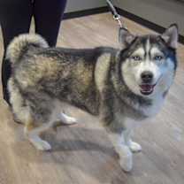 Thumbnail photo of Flash #2