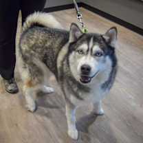 Thumbnail photo of Flash #3