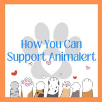 Thumbnail photo of Foster Homes Needed! #2