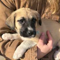 Thumbnail photo of AJ, Wanda, Jane #2