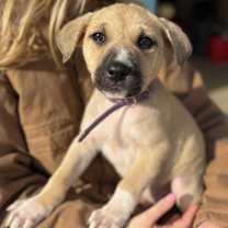 Thumbnail photo of AJ, Wanda, Jane #4