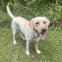 Thumbnail photo of Lula #1