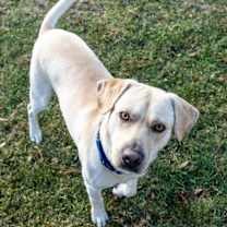 Thumbnail photo of John #2