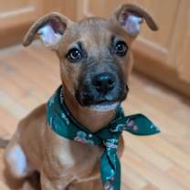 Thumbnail photo of Jolly #1