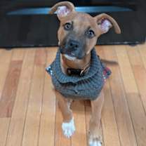 Thumbnail photo of Jolly #3