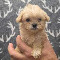 Thumbnail photo of Bubbles #1