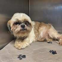 Thumbnail photo of Champagne #2