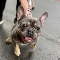 Thumbnail photo of TITAN #1