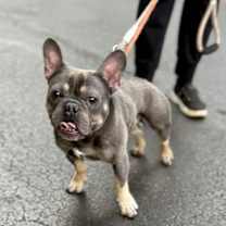 Thumbnail photo of TITAN #2