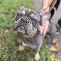 Thumbnail photo of TITAN #3