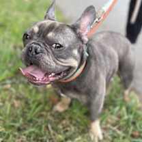 Thumbnail photo of TITAN #4