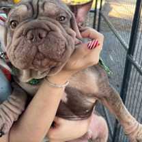 Thumbnail photo of OTTO #4