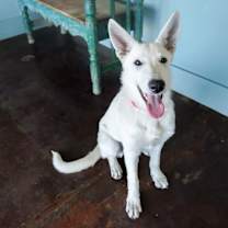 Thumbnail photo of Anna #1