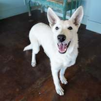 Thumbnail photo of Anna #2