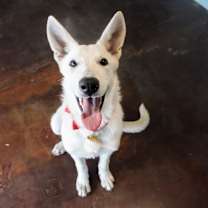 Thumbnail photo of Anna #3