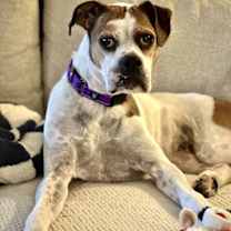 Thumbnail photo of Honeycomb #1