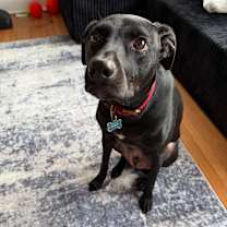 Thumbnail photo of Oliver #3