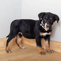 Thumbnail photo of Cheers D67609 #3