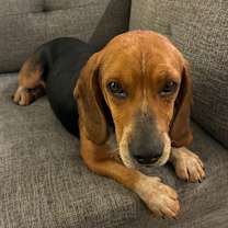 Thumbnail photo of Jingle #1