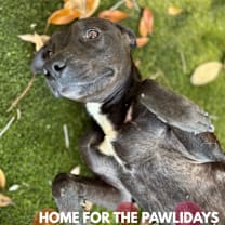 Thumbnail photo of Gloria #1