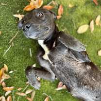 Thumbnail photo of Gloria #2